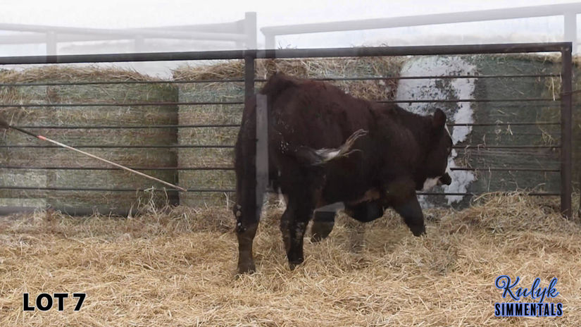 LOT 7 - RUK 15M